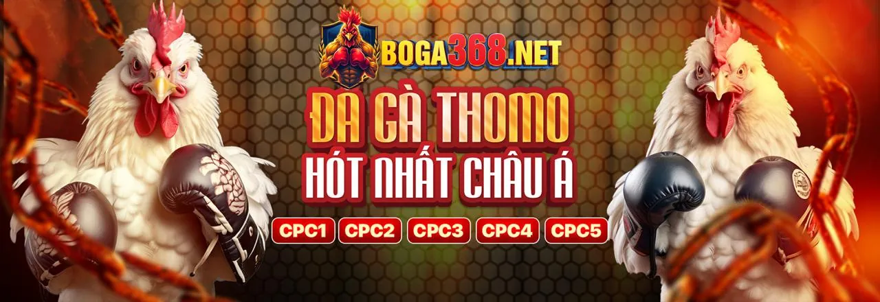 Hình ảnh Câu Lạc Bộ VIP bi88 casino